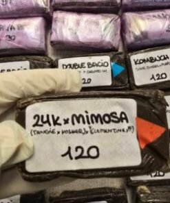 24k x mimosa 120u premium hash